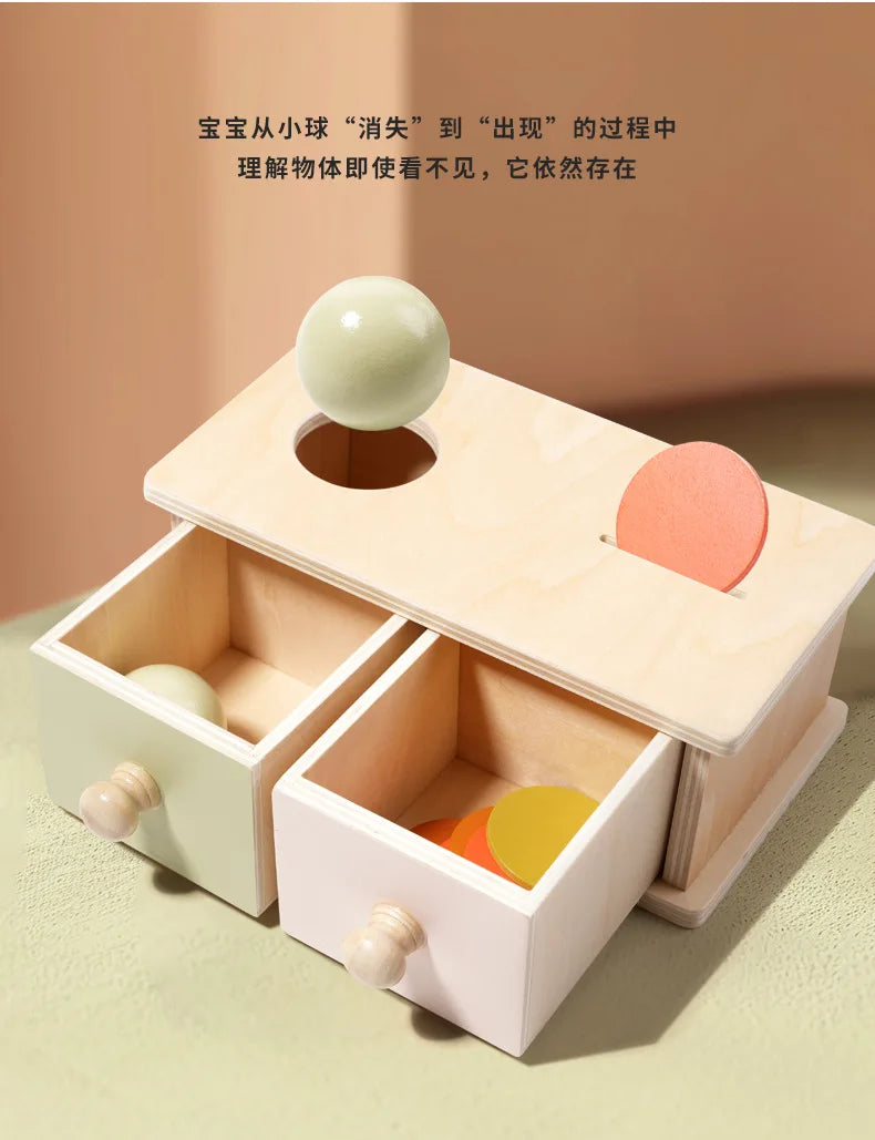 Montessori Infant Wooden Toys Color Spinning Coin Box Macaron Wooden Toys Permanent Box Round Rectangular Box Baby Toys