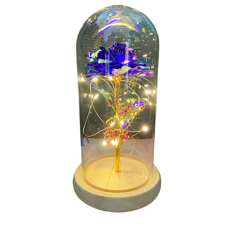 LED Valentine Day Gift For Girlfriend Eternal Rose Light 24K Gold Foil Flower In Glass Cover Mothers Day Wedding Bridesmaid Gift