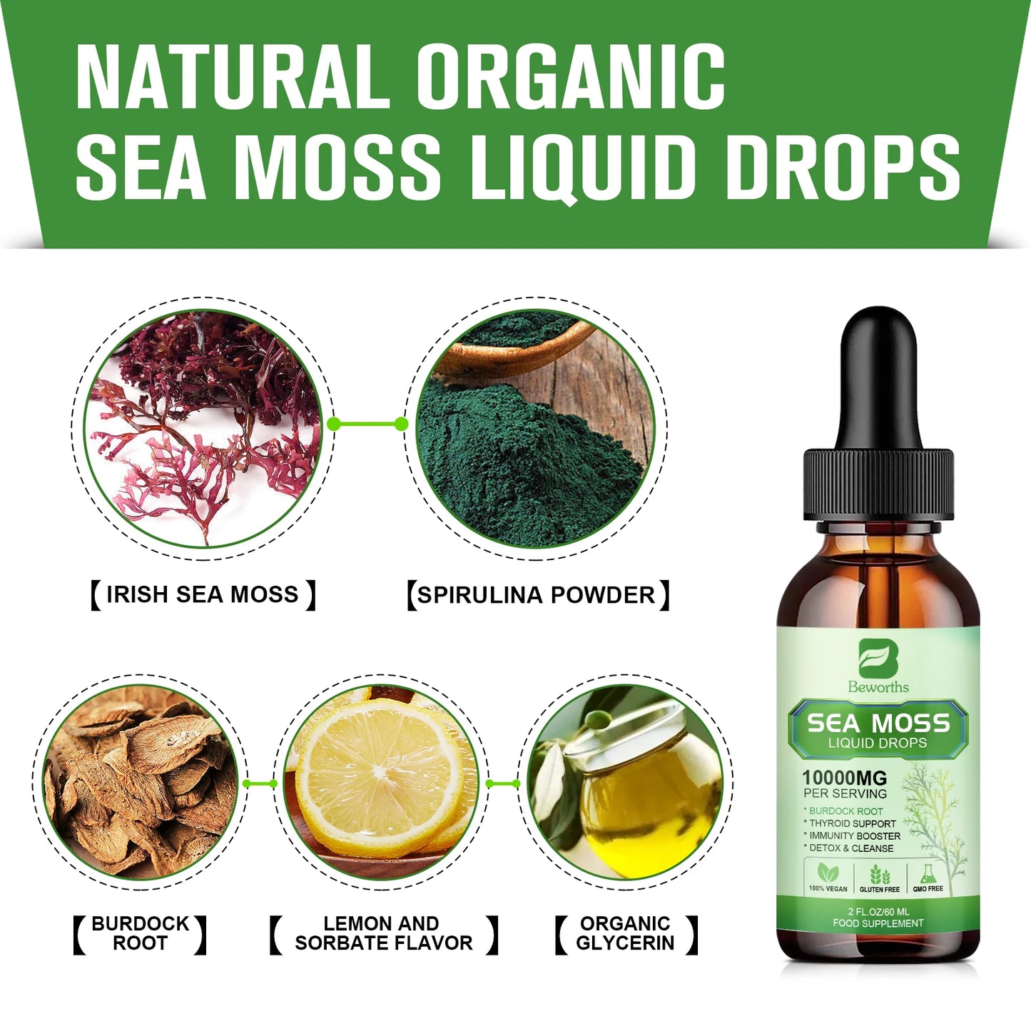 BEWORTHS Organic Seamoss Drops with Burdock Root and Spirulina Support Immunity and Gut Health, Help Digestion Weight Management