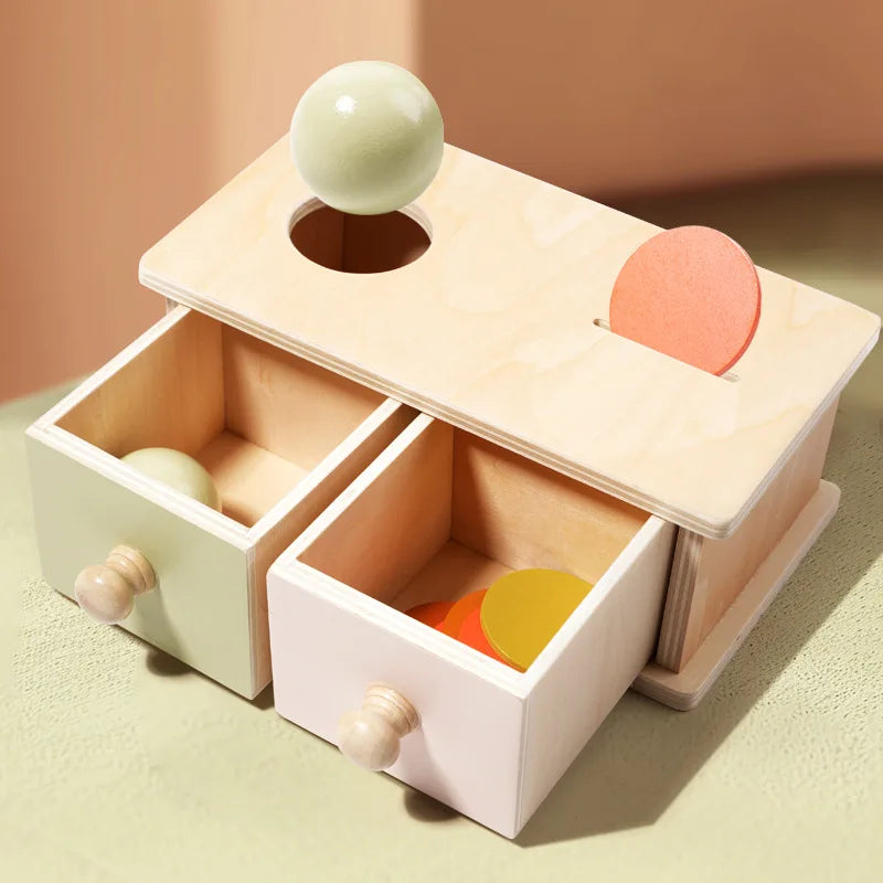 Montessori Infant Wooden Toys Color Spinning Coin Box Macaron Wooden Toys Permanent Box Round Rectangular Box Baby Toys