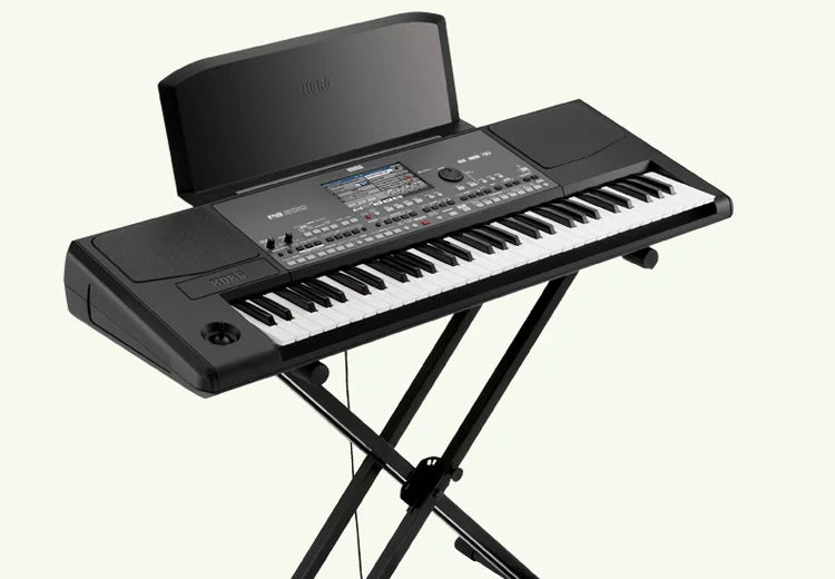 KORG PA600/KORG Professional Keyboard Synthesizer with Arranger Functionality