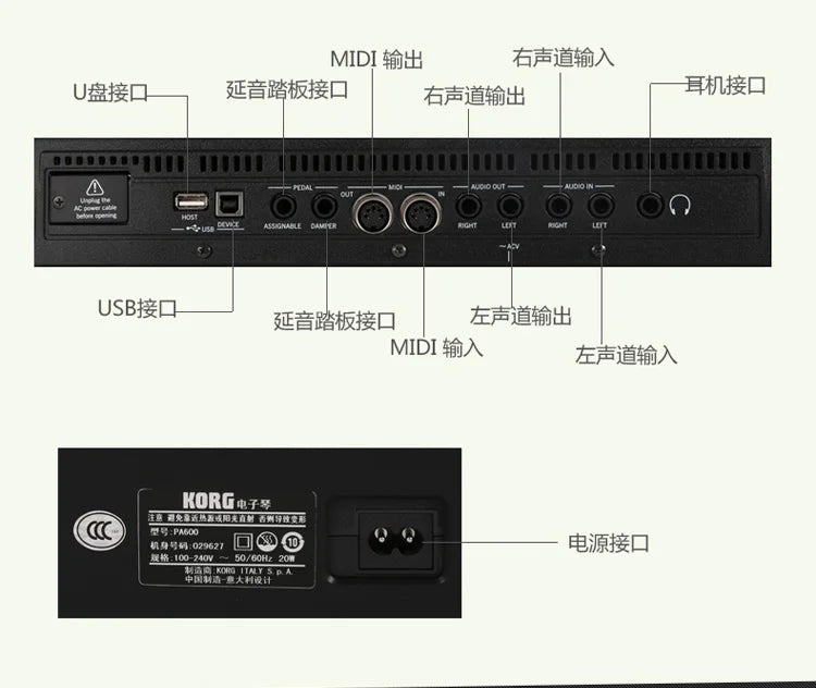 KORG PA600/KORG Professional Keyboard Synthesizer with Arranger Functionality