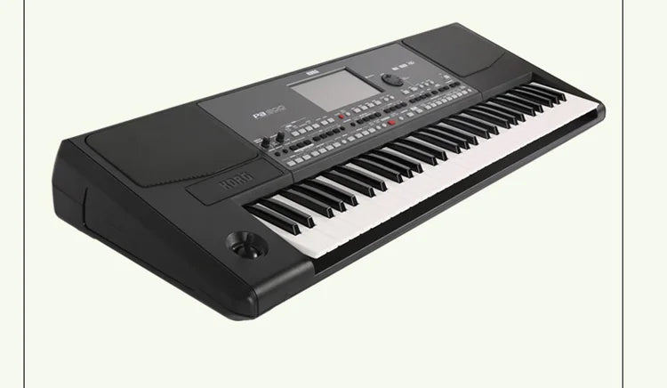 KORG PA600/KORG Professional Keyboard Synthesizer with Arranger Functionality